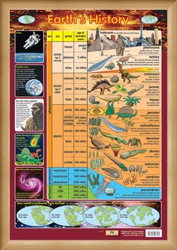 Framed Framed Earth's History - From Precambrian to Holocene